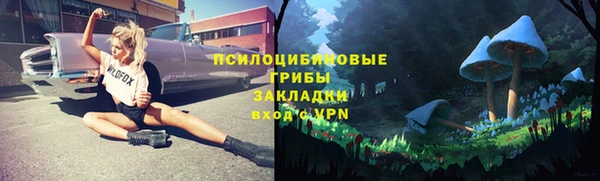 ALPHA-PVP Алексеевка