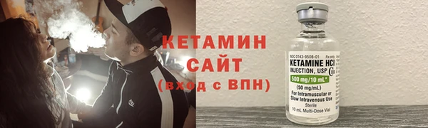 гашик Алексин
