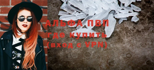 гашик Алексин