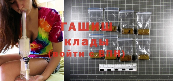 гашик Алексин