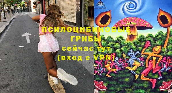 бошки Переславль-Залесский