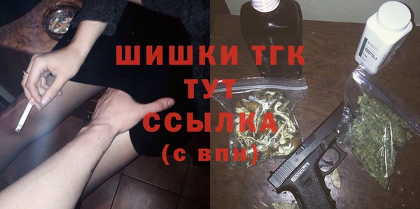 гашик Алексин