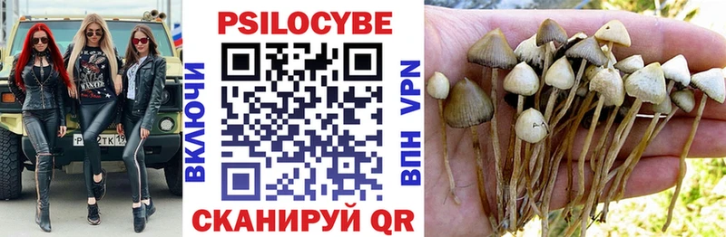 Псилоцибиновые грибы мухоморы  Черноголовка 